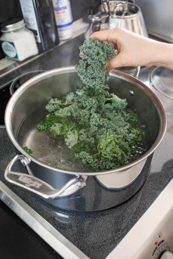hand putting kale in pot